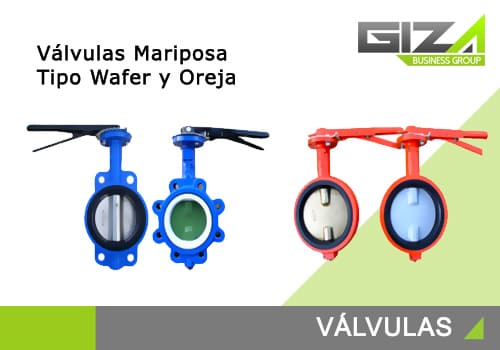 Valvulas